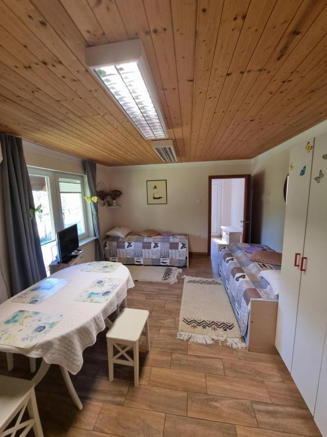 Dobra Hisa Zdravja Cicarija Hotell Golac Eksteriør bilde